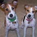 Charlie and Lucy