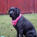 Abby