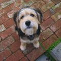 Jack